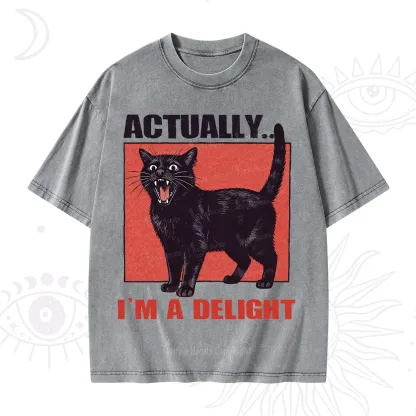 Purplehecate Actually Im a Delight Washed T-Shirt