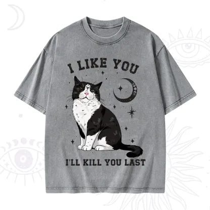 Purplehecate I Like You I'll Kill You Last Washed T-Shirt
