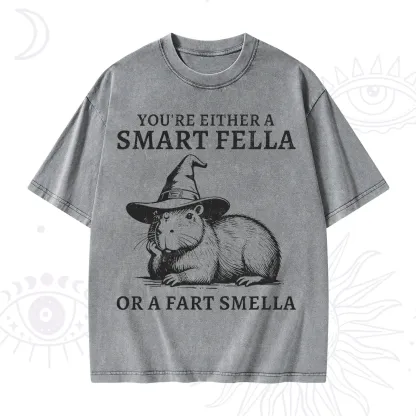 Purplehecate You're Either A Smart Fella or a Smart Fella Washed T-Shirt