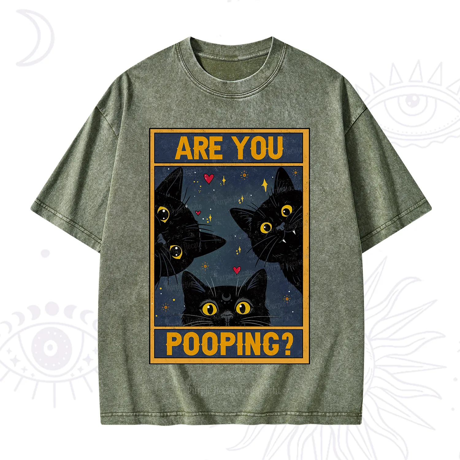 Purplehecate Funny Black Cat Are You Pooping Washed T-Shirt