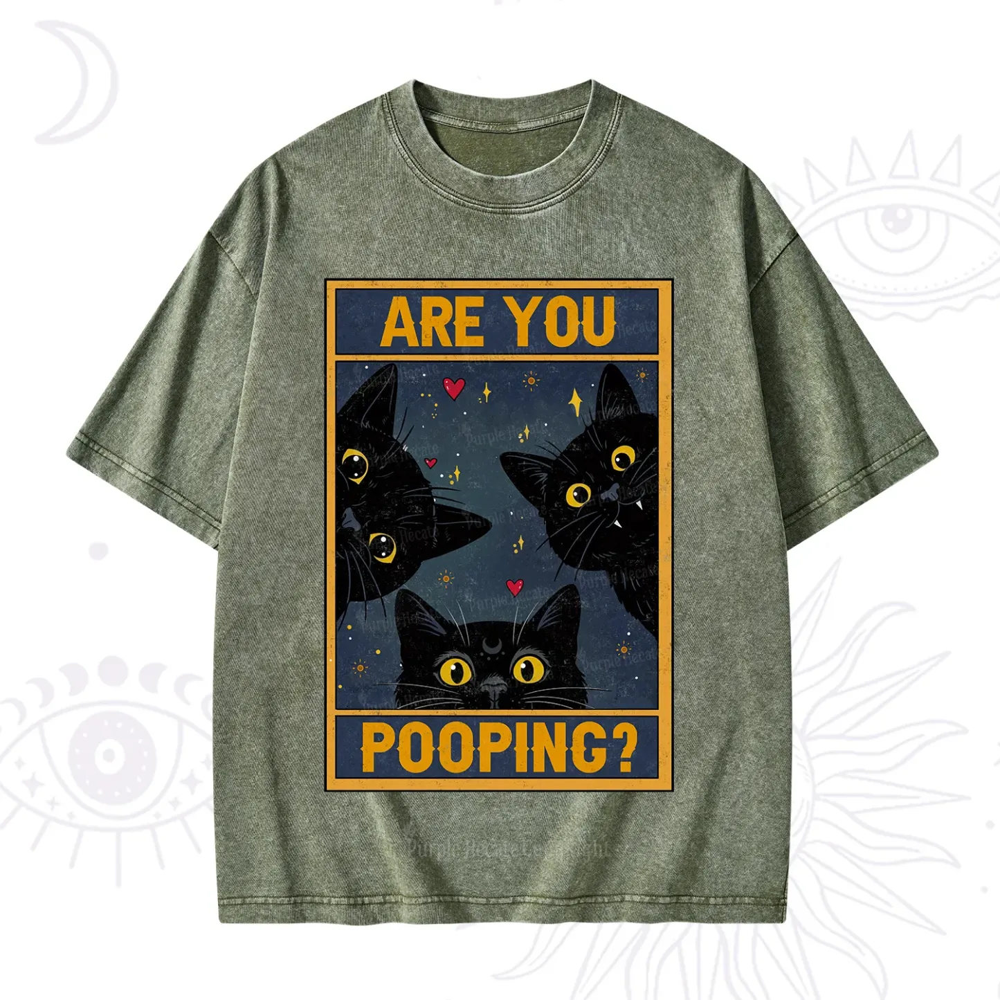 Purplehecate Funny Black Cat Are You Pooping Washed T-Shirt