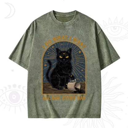 Purplehecate I Do What I What All Day Washed T-Shirt