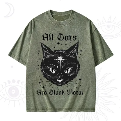 Purplehecate All Cats Are Black Metal Washed T-Shirt