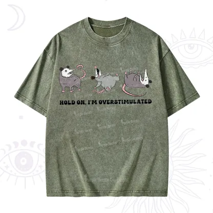 Purplehecate Hold On I'm Overstimulated Washed T-Shirt
