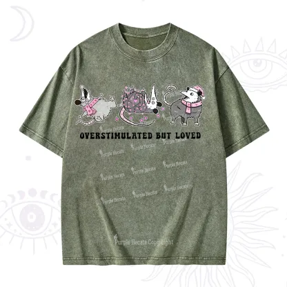 Purplehecate Overstimulated But Loved Valentine Washed T-Shirt