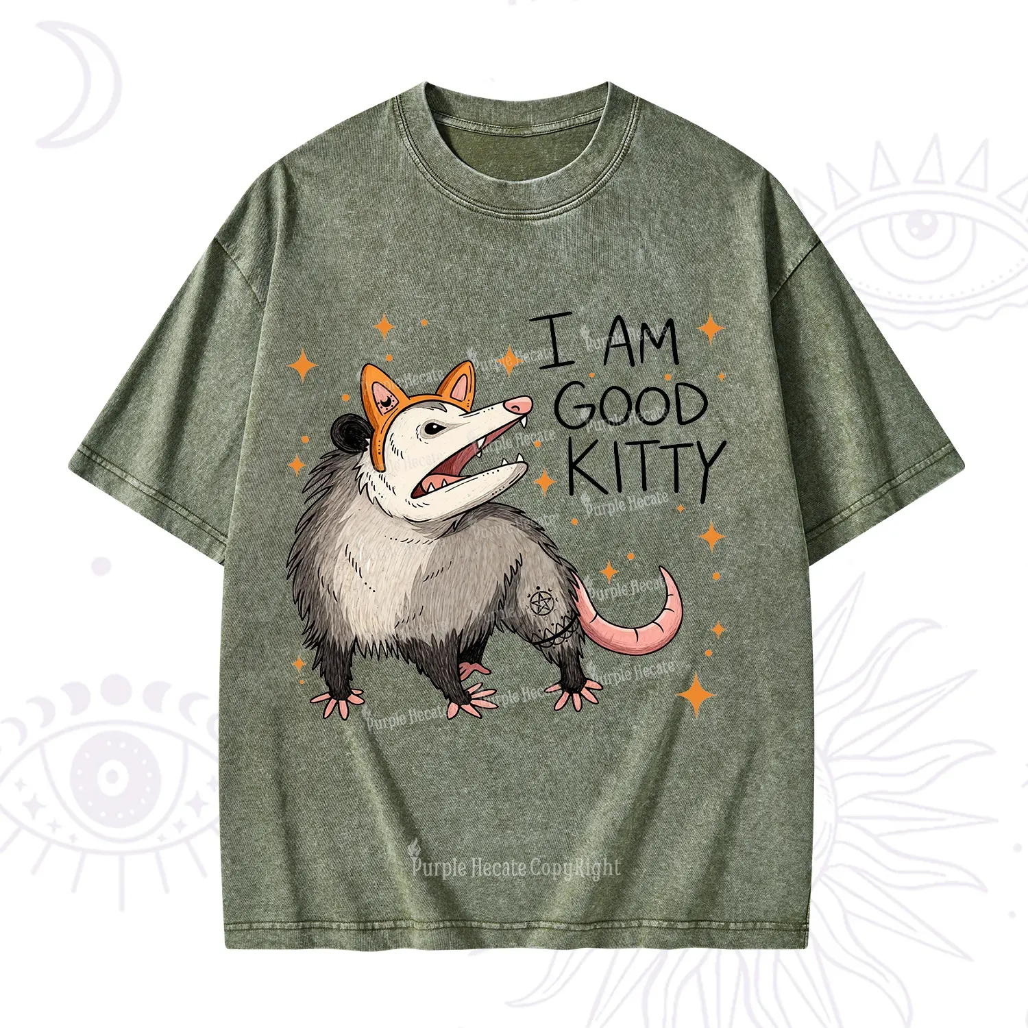 Purplehecate Funny Opossum I Am Good Kitty Washed T-Shirt