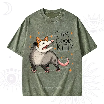 Purplehecate Funny Opossum I Am Good Kitty Washed T-Shirt