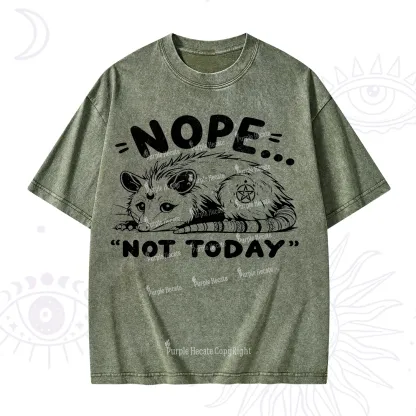 Purplehecate Not Today Possum Washed T-Shirt