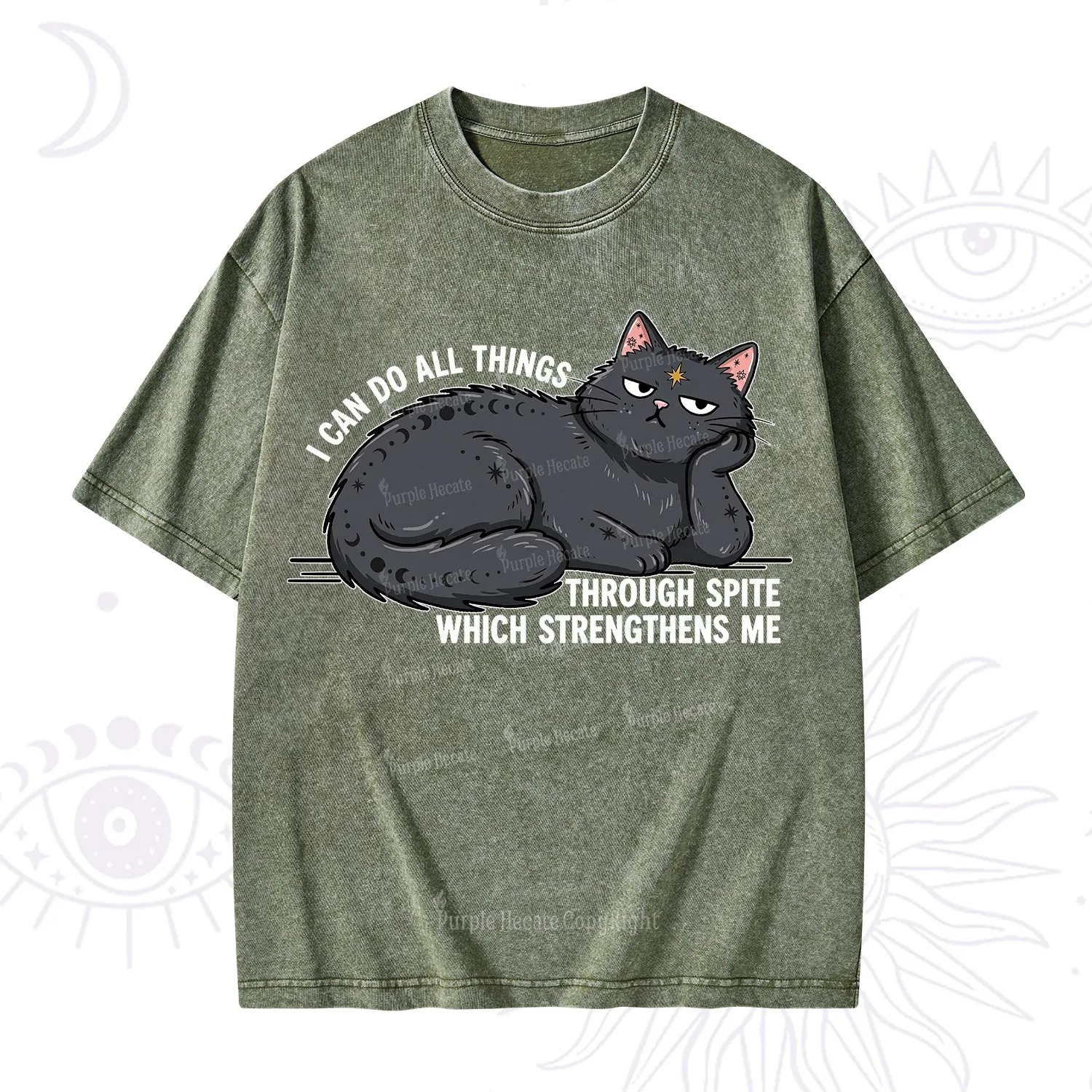 Purplehecate I Can Do All Things Spiteful Cat Washed T-Shirt