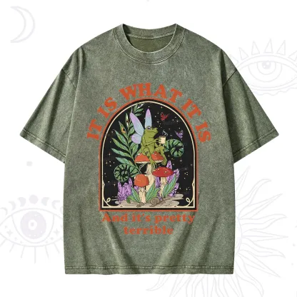 Purplehecate It Is What It Is Washed T-Shirt