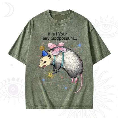 Purplehecate It Is I Your Fairy Godpossum Washed T-Shirt