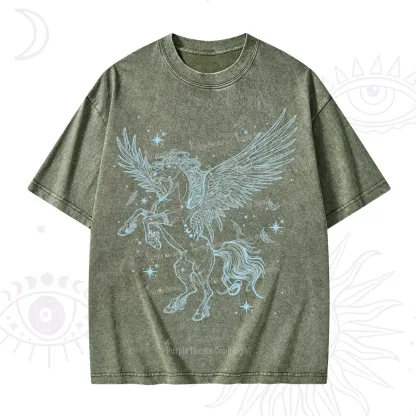 Purplehecate Celestial Pegasus Washed T-Shirt