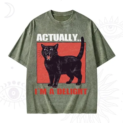 Purplehecate Actually Im a Delight Washed T-Shirt