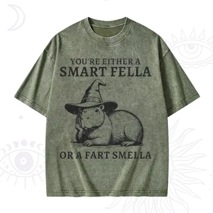 Purplehecate You're Either A Smart Fella or a Smart Fella Washed T-Shirt