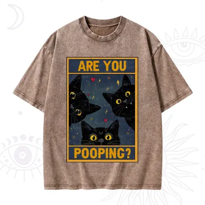 Purplehecate Funny Black Cat Are You Pooping Washed T-Shirt
