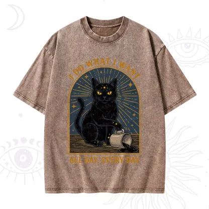 Purplehecate I Do What I What All Day Washed T-Shirt