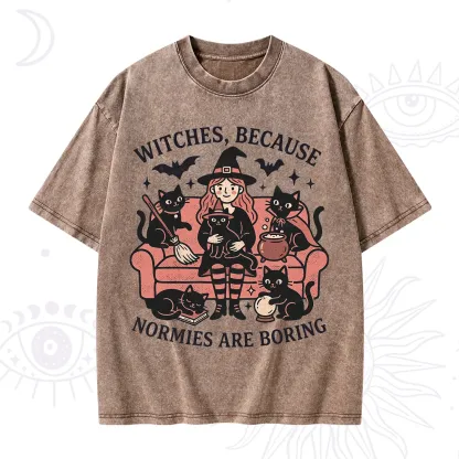 Purplehecate Witches Because Normies Are Boring Washed T-Shirt