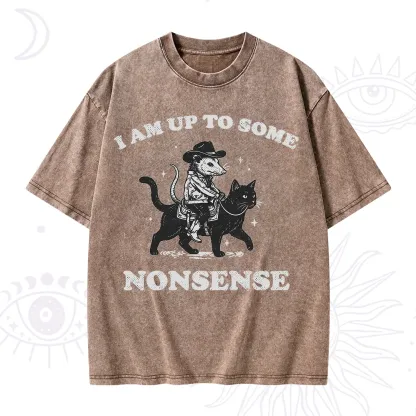Purplehecate I Am Up To Some Nonsense Opossum Washed T-Shirt