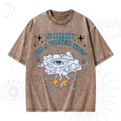 Purplehecate Sorry I'm A Water Sign Washed T-Shirt