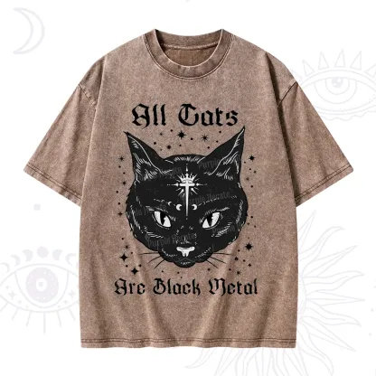 Purplehecate All Cats Are Black Metal Washed T-Shirt