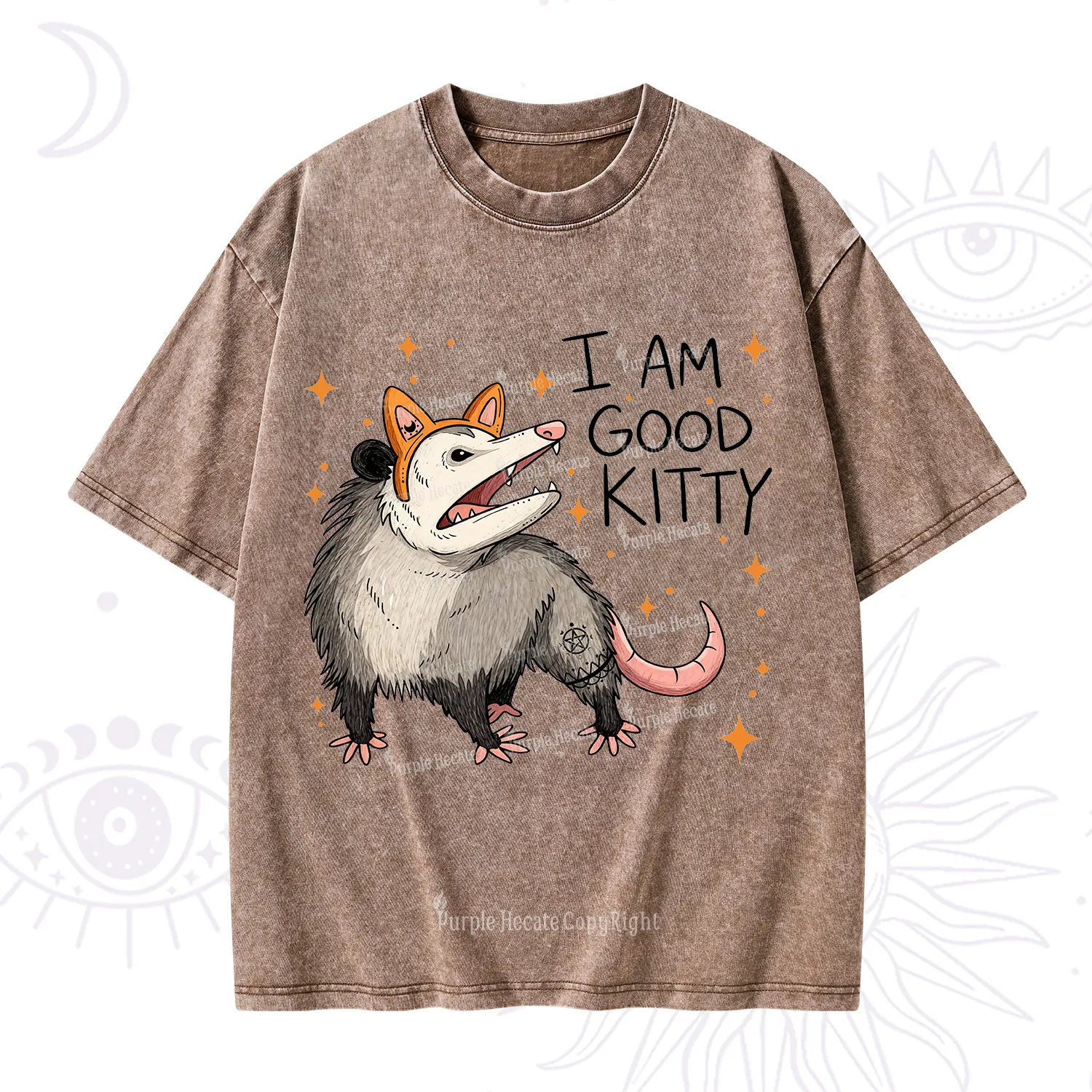 Purplehecate Funny Opossum I Am Good Kitty Washed T-Shirt