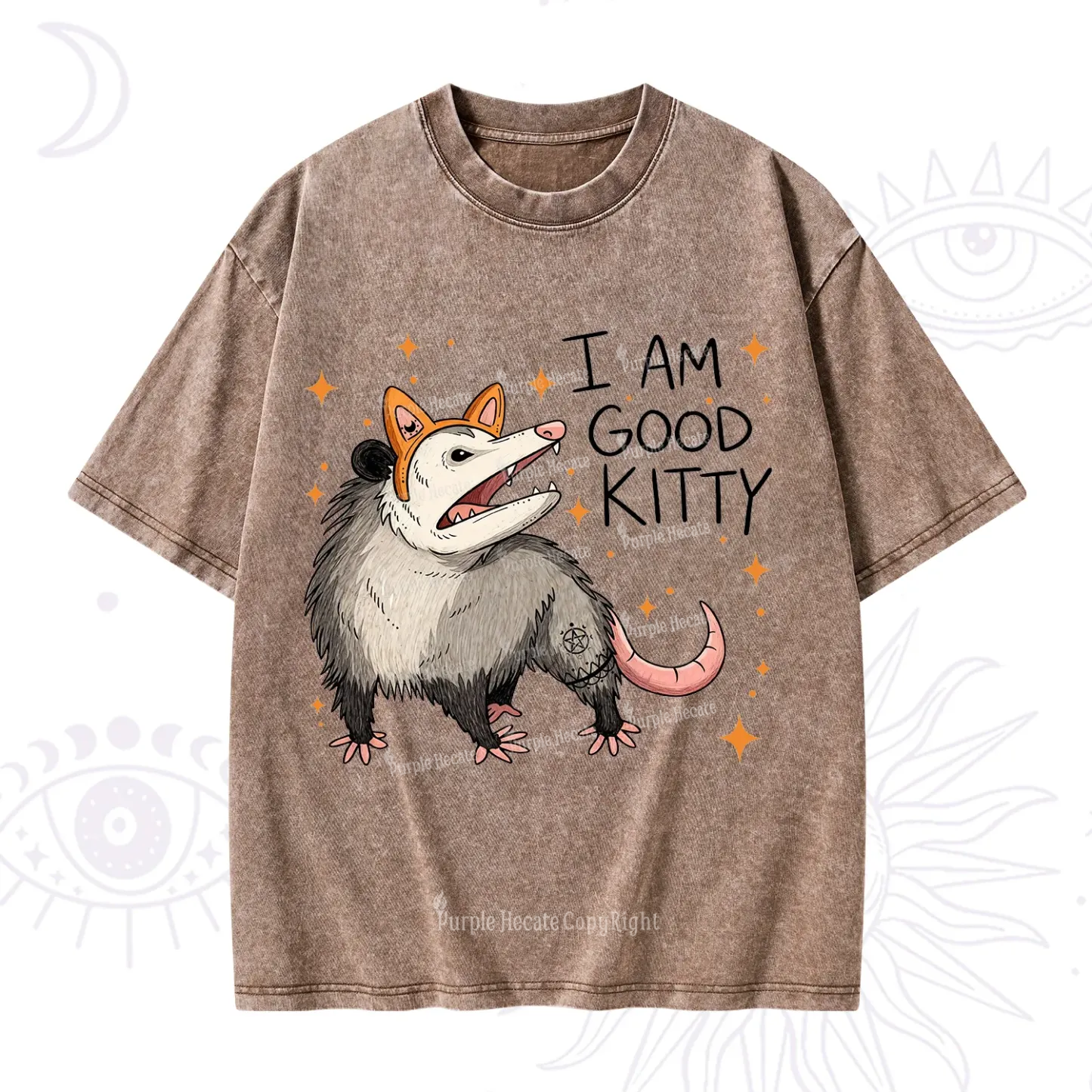 Purplehecate Funny Opossum I Am Good Kitty Washed T-Shirt