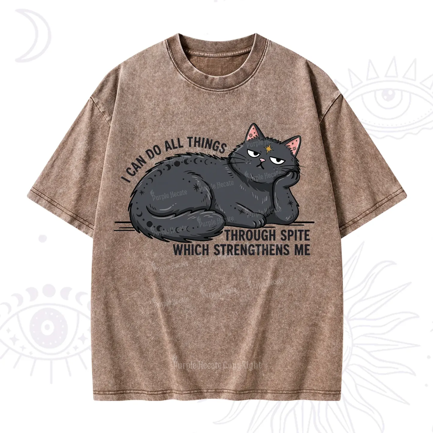 Purplehecate I Can Do All Things Spiteful Cat Washed T-Shirt