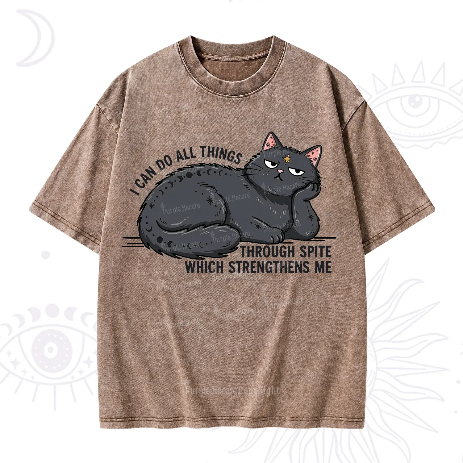 Purplehecate I Can Do All Things Spiteful Cat Washed T-Shirt
