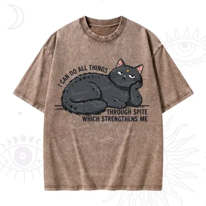 Purplehecate I Can Do All Things Spiteful Cat Washed T-Shirt