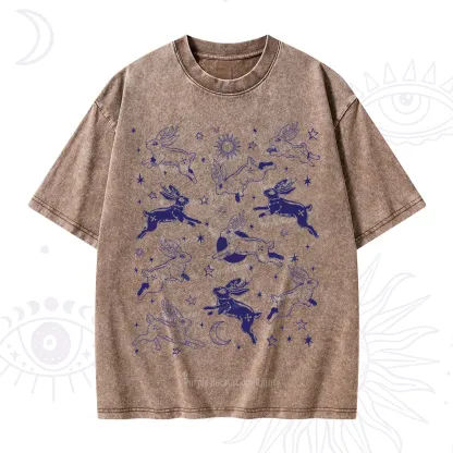 Purplehecate Bunnies in Space Washed T-Shirt
