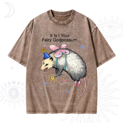 Purplehecate It Is I Your Fairy Godpossum Washed T-Shirt