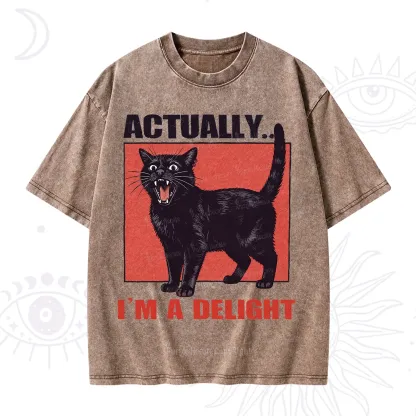 Purplehecate Actually Im a Delight Washed T-Shirt