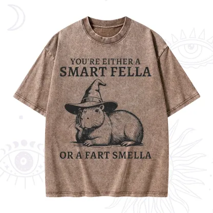 Purplehecate You're Either A Smart Fella or a Smart Fella Washed T-Shirt