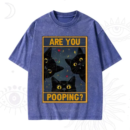 Purplehecate Funny Black Cat Are You Pooping Washed T-Shirt