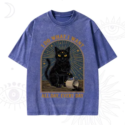 Purplehecate I Do What I What All Day Washed T-Shirt