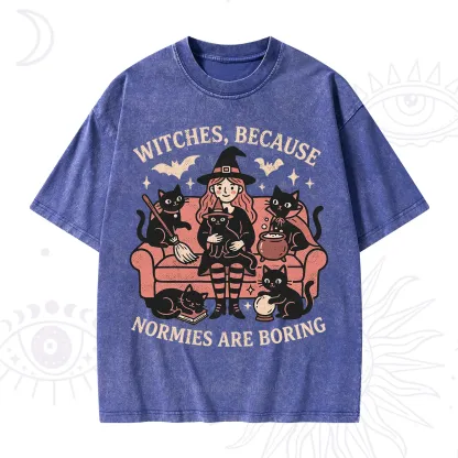 Purplehecate Witches Because Normies Are Boring Washed T-Shirt