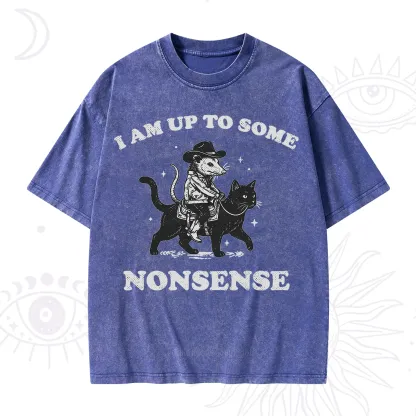 Purplehecate I Am Up To Some Nonsense Opossum Washed T-Shirt
