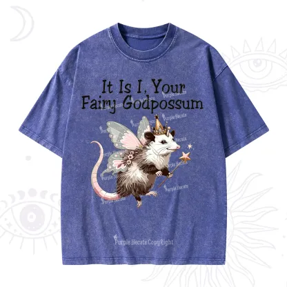 Purplehecate It Is I Your Fairy Godpossum Washed T-Shirt