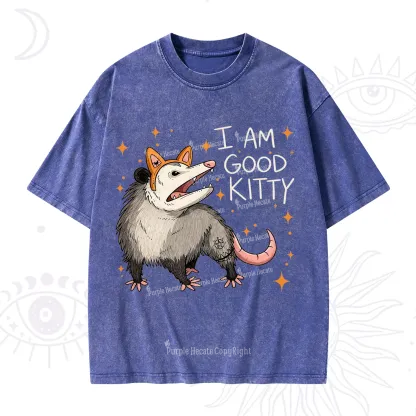 Purplehecate Funny Opossum I Am Good Kitty Washed T-Shirt