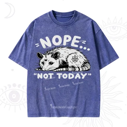 Purplehecate Not Today Possum Washed T-Shirt