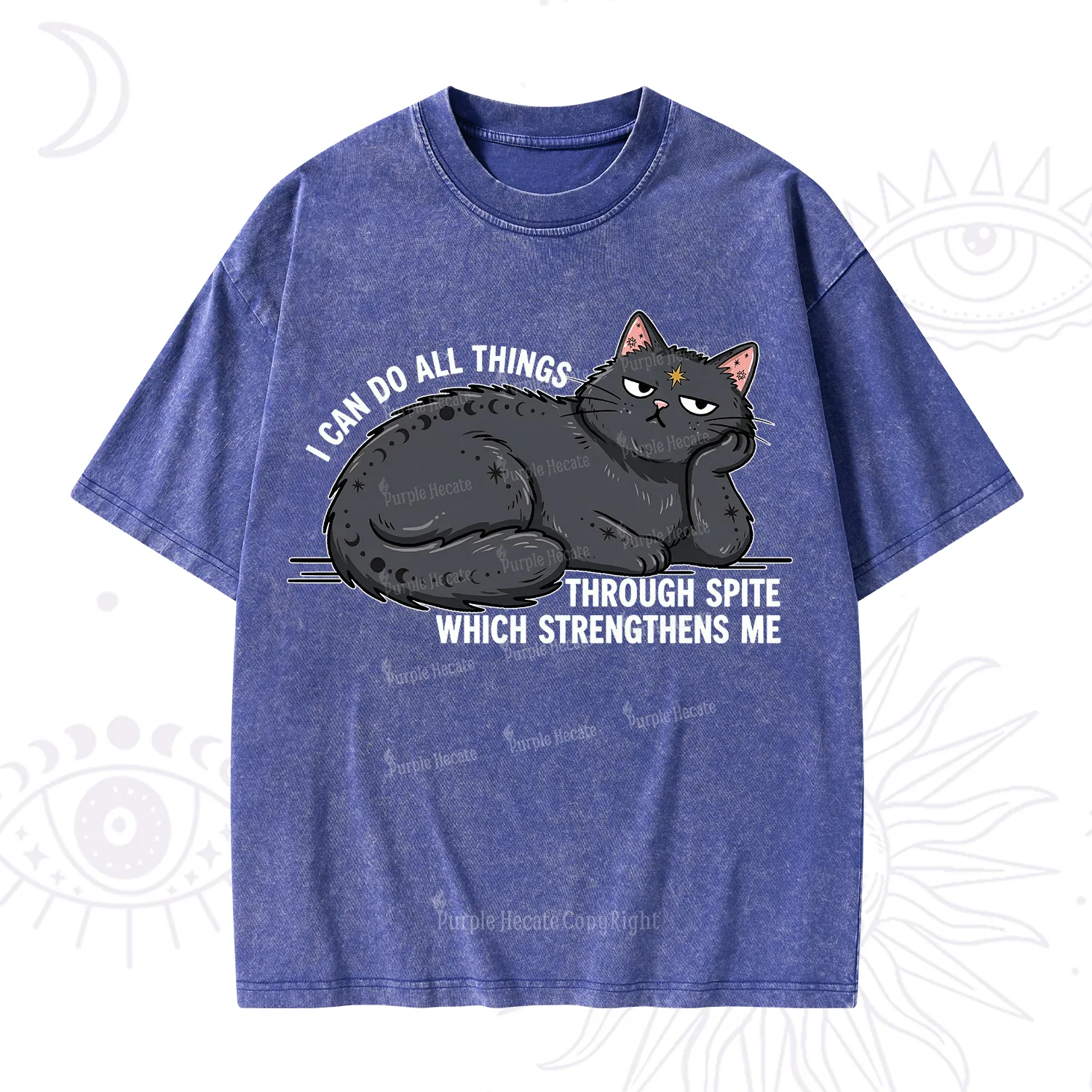 Purplehecate I Can Do All Things Spiteful Cat Washed T-Shirt