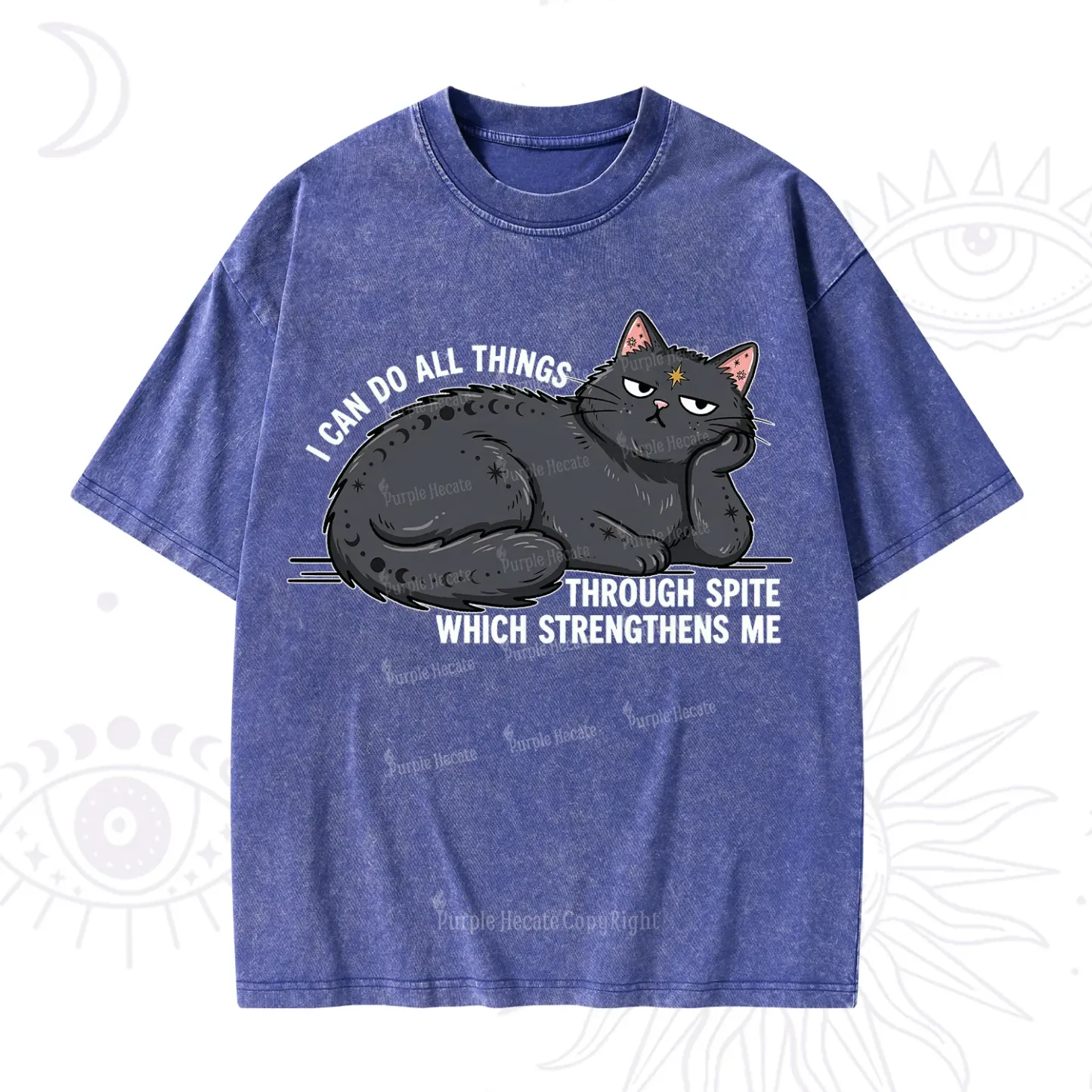 Purplehecate I Can Do All Things Spiteful Cat Washed T-Shirt