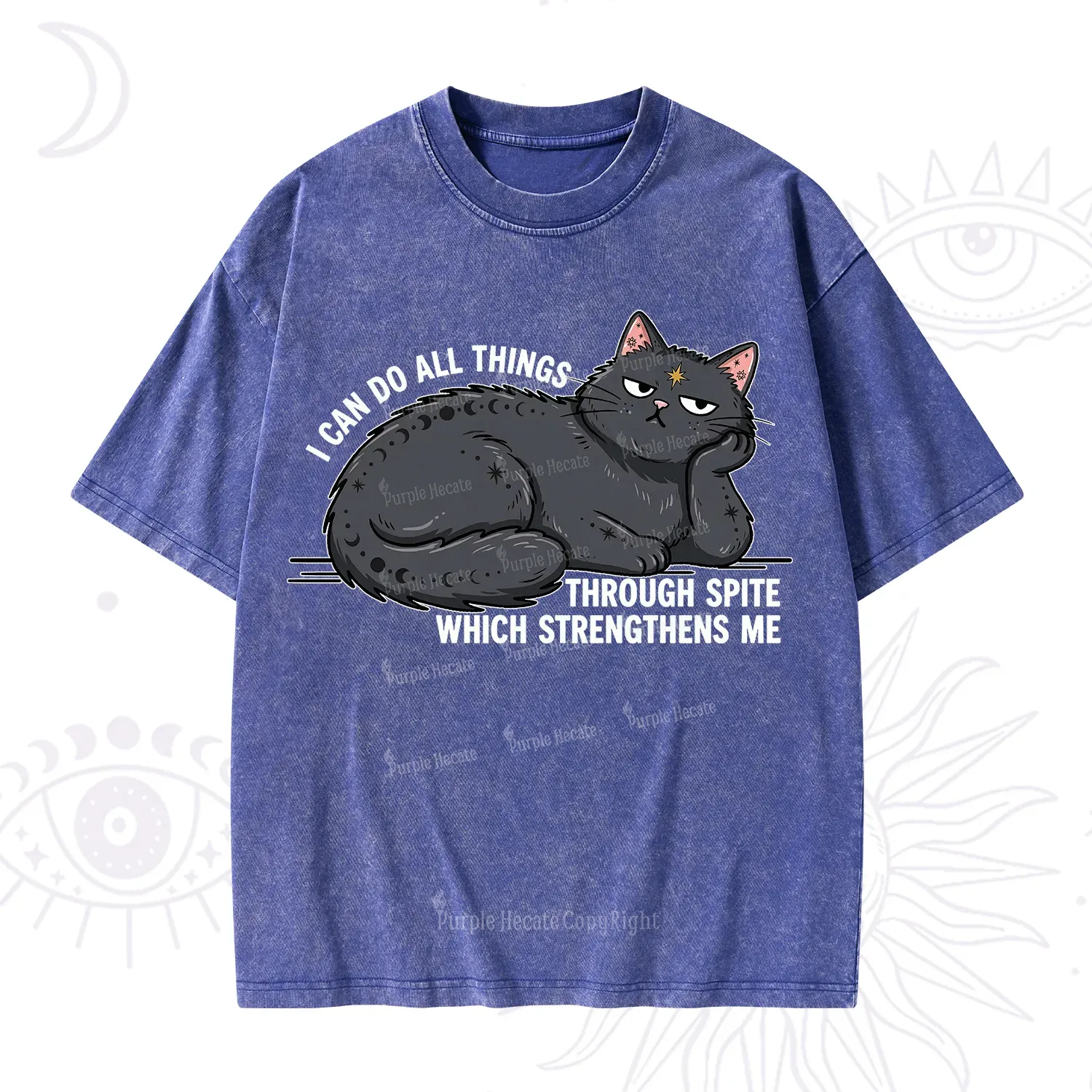 Purplehecate I Can Do All Things Spiteful Cat Washed T-Shirt