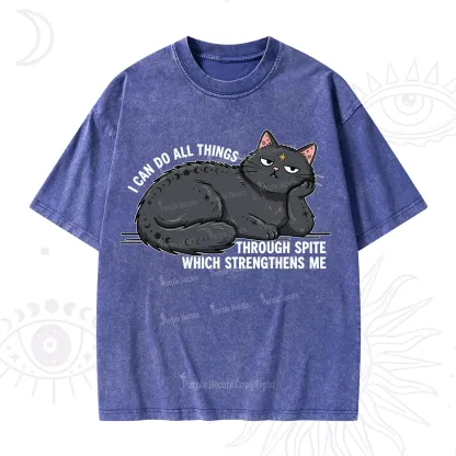 Purplehecate I Can Do All Things Spiteful Cat Washed T-Shirt