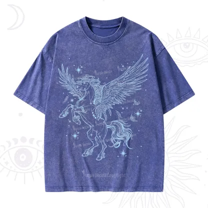Purplehecate Celestial Pegasus Washed T-Shirt