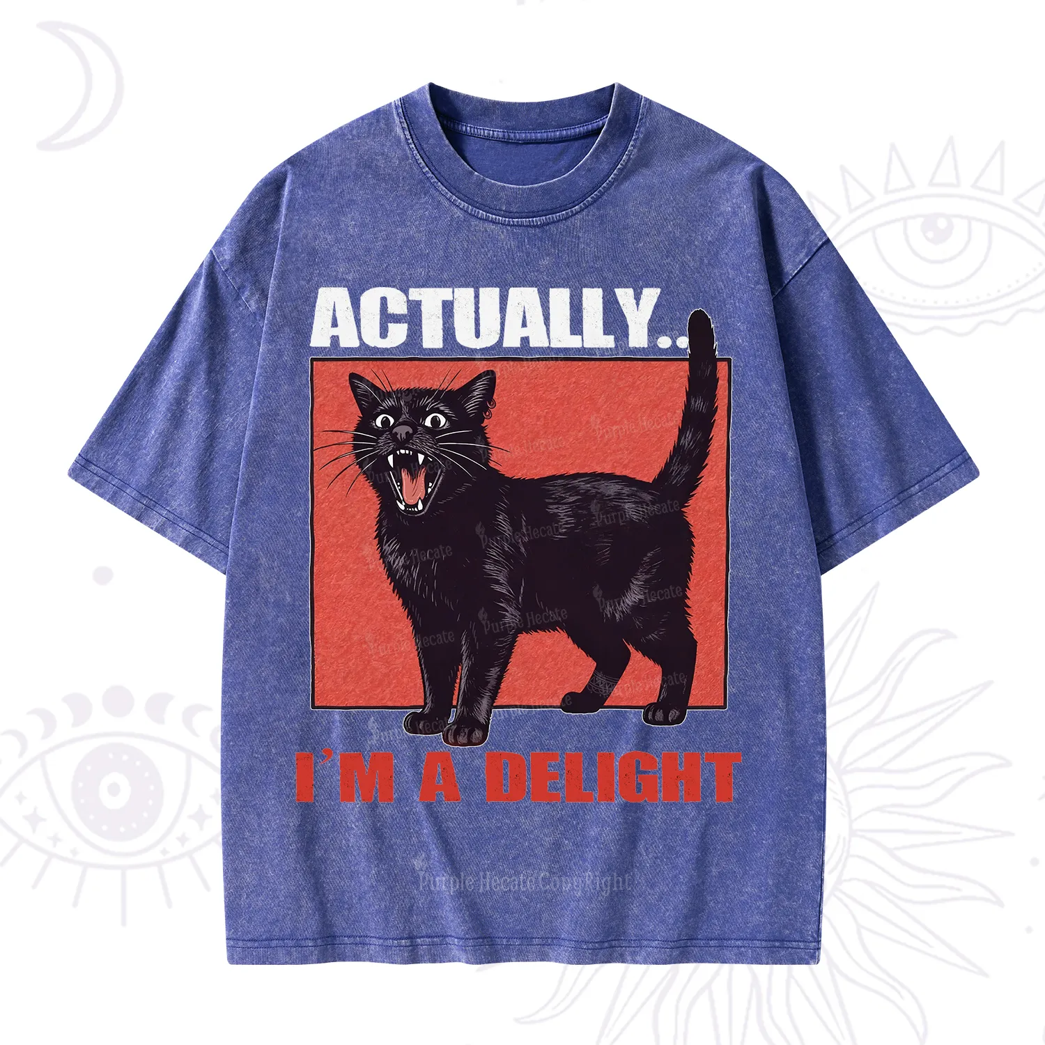 Purplehecate Actually Im a Delight Washed T-Shirt