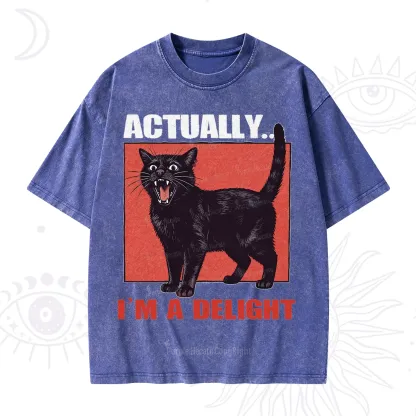 Purplehecate Actually Im a Delight Washed T-Shirt
