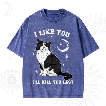 Purplehecate I Like You I'll Kill You Last Washed T-Shirt