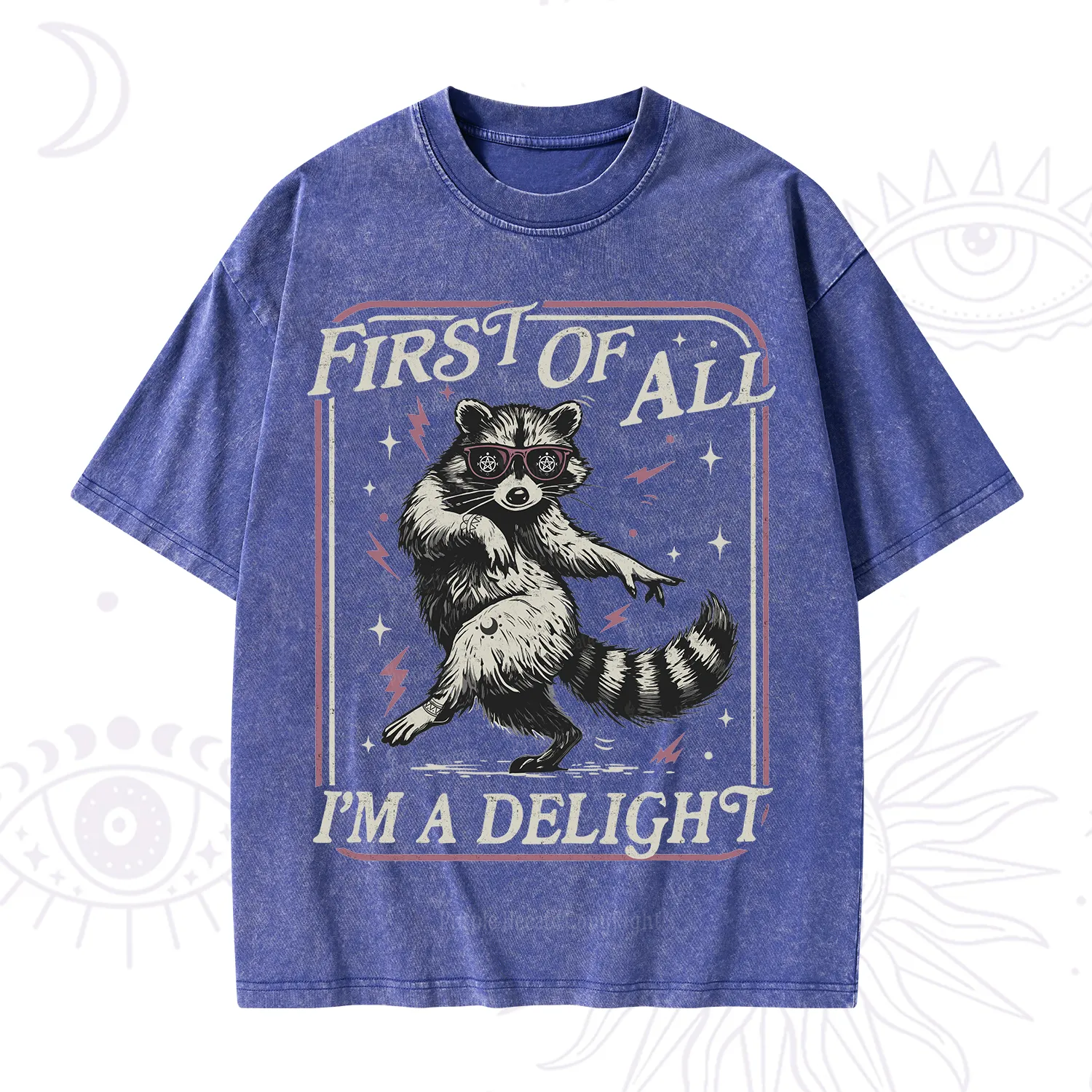 Purplehecate First Of All I'm A Delight Racoon Washed T-Shirt