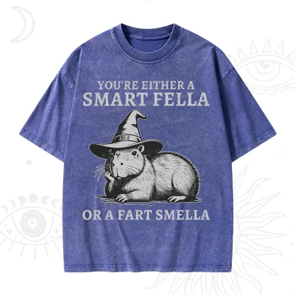 Purplehecate You're Either A Smart Fella or a Smart Fella Washed T-Shirt